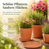 Pflanztopfuntersetzer Mira Terrakotta Ø 58cm - Rund Produktbild-Vorschau 4