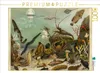 CALVENDO Puzzle Seewasser-Aquarium, Künstler: Adolf Giltsch Produktbild-Vorschau 2