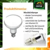 Reptilienlampe D3 UV Heat Spot 80 Watt selbstballastierend Produktbild-Vorschau 7
