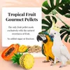 Lafeber Gourmet Pelety - Tropické ovocie - Makak a kakadu - Náhľad obrázku produktu 2