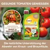 Solabiol® Grundstoff Lecithin für 21 Liter Spritzbrühe - Produktbild-Vorschau 13