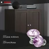 Domino Elegante Crystal A Möbelknopf 30mm in Chrom & Rosa Produktbild-Vorschau 2