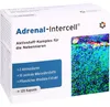 Adrenal Intercell Active Complex kapsułki na nadnercza, 120 Podgląd zdjęcia produktu 5