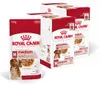 Royal Canin Medium Adult 20x140g Nassfutter in Soße für Produktbild-Vorschau 1