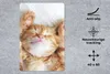 MuchoWow® Mauspad Mousepad Katze - Rot - Haustiere - Produktbild-Vorschau 2