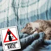 Vorsicht Katze Metallschild XL in 21x28 cm mit Katzen Produktbild-Vorschau 5