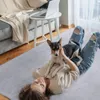 Nobleza Hundedecke Waschbare Weiche Hunde Fleecedecke Deck Produktbild-Vorschau 7