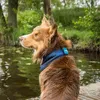 Back on Track Cooling Bandana Produktbild-Vorschau 3