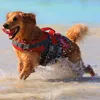 Hunter Hunde Schwimmweste Moss, Größe:M Produktbild-Vorschau 8