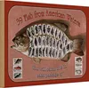 Holzschild Fisch 30x20cm 39 Fish from american Waters Produktbild-Vorschau 1