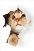 Wallario selbstklebendes Poster - Katze mit Blick nach Produktbild-Vorschau 1