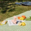 A picnic scene with a fan, snacks, lemons, and tulips on a checkered blanket. Anteprima dell’immagine prodotto