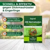 Legona HB-Nematoden gegen Dickmaulrüssler und Engerlinge - Produktbild-Vorschau 2