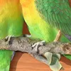 Dekofigur Wandfigur Lovebirds Vögel Produktbild-Vorschau 5