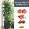 Fortena Tomatenanzuchttopf 28L mit Rankhilfe Höhe 153 cm Produktbild-Vorschau 7