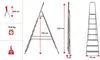 Collage of images showing a ladder with dimensions and weight specifications. Anteprima dell’immagine prodotto