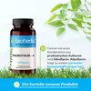 Bioherba | 4 Strain Probiotic | with Riboflavin Produktbild-Vorschau 4