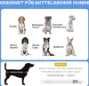 A collage of dog breeds with text overlays and a diagram of a dog's body length. Produktbild-Vorschau