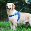 Hundegeschirr Einstellbar Anti Zug Geschirr Klein Weich Produktbild-Vorschau 2