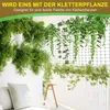 Izrielar – sada nerezových opěrných lan pro popínavé Náhled obrázku produktu 11