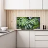 Coloray Küchenrückwand 140x70 Spritzschutz aus Glas - Produktbild-Vorschau 3
