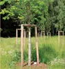 Holzpfähle Kiefer/Fichte Produktbild-Vorschau 6