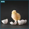 A newly hatched chick stands next to broken eggshells against a dark background. Podgląd zdjęcia produktu