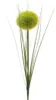 Kunstblumen Allium 66cm grün, 1 Stück Produktbild-Vorschau 3