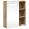 A product shot of a mirrored cabinet with shelves. Náhled obrázku produktu