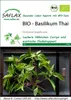SAFLAX - Bio - Tajska Bazylia - 250 Nasiona - Ocimum Podgląd zdjęcia produktu 11