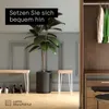 LAMO Manufaktur Hocker Beistelltisch Sitzbank Bettbank Produktbild-Vorschau 2