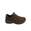 A single brown Lowa Renegade EVO GTX Low outdoor shoe is shown against a white background. Anteprima dell’immagine prodotto