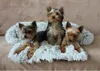 Letto per cani Merco Petsofa grigio chiaro taglia M Anteprima dell’immagine prodotto 3