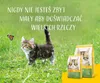 Josera 4032254755005, Kitten, Geflügel, 2 kg Produktbild-Vorschau 5