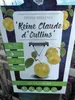 Prunus domestica 'Reine Claude d'Oullins' 100-120 cm -  Produktbild-Vorschau 1