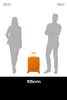 American Tourister trolley Fastforward Spinner 55 / 20 TSA Productafbeelding-voorbeeld 10