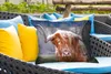 MuchoWow® Outdoor Kissen - Schottisches Hochlandrind - Produktbild-Vorschau 4