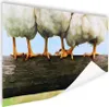 MuchoWow® Poster Foto Hühnerbeine drucken 180x120 cm - Produktbild-Vorschau 1