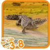 A crocodile is shown on a sandy riverbank with water in the foreground and a grassy savanna in the background. Anteprima dell’immagine prodotto