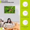 ARTland Leinwandbild Griechische Landschildkröten Baby Produktbild-Vorschau 2