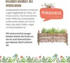 Die Stadtgärtner – Rollendes Hochbeet I Hochwertiges Produktbild-Vorschau 3