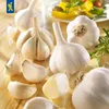Kiepenkerl Winterpflanzknoblauch Messidrome - weiß Allium Produktbild-Vorschau 4