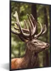 MuchoWow® Gerahmtes Poster Hirsch - Natur - Geweih - Wald - Produktbild-Vorschau 1
