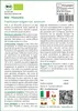 SAFLAX  -- Finocchio - 100 semi - Foeniculum Anteprima dell’immagine prodotto 3