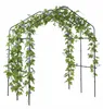 Treillis métallique en arc pour plantes grimpantes Voir les images du produit 1