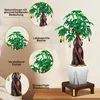 COIL Spielbausteine, Bauklötze, Baukasten, Bonsai-Baum, Produktbild-Vorschau 3