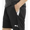 Puma Teamliga Trainingsshorts Kinder - Schwarz Produktbild-Vorschau 9