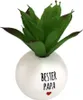 Plastik Pflanze Deko Motiv "Bester Papa" - ca. 8 cm Produktbild-Vorschau 1