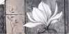 ARTland Poster Klassische Magnolie - grau Größe: 150x75 cm Produktbild-Vorschau 1