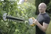A man is trimming a hedge with an electric hedge trimmer in a garden. Produktbild-Vorschau
